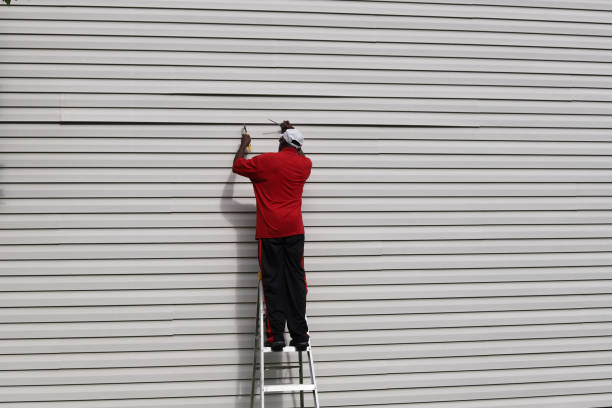 Best Steel Siding Installation  in Silver City, NM